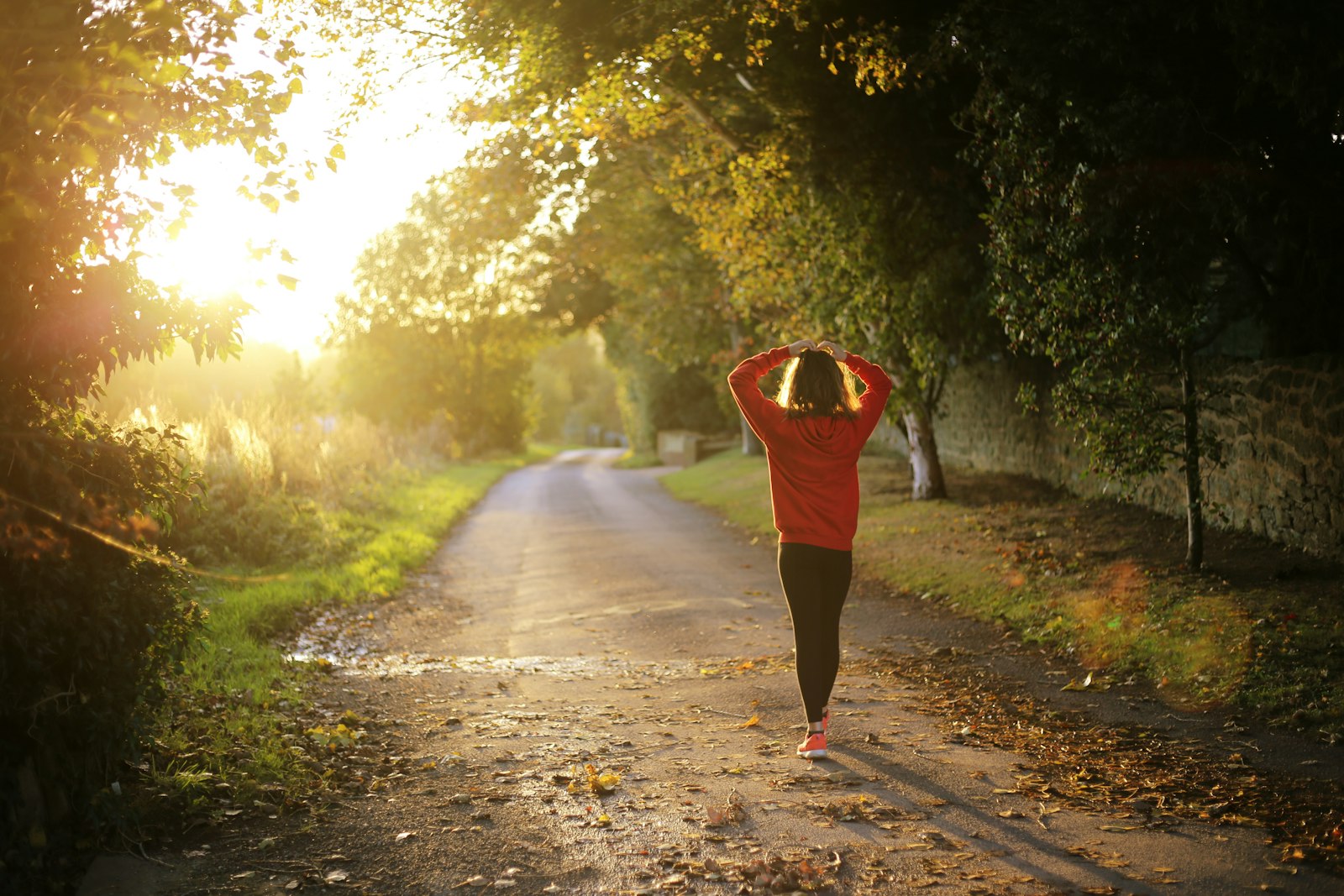 Best Spermidine Supplements, Ranked